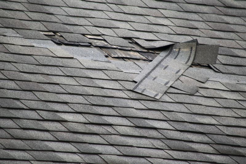 Roof Repair Consultation